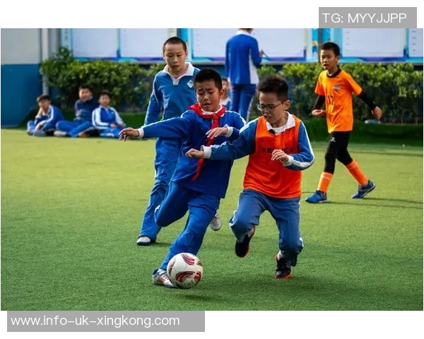 足球精神的英文表达与其在全球文化中的重要性探讨